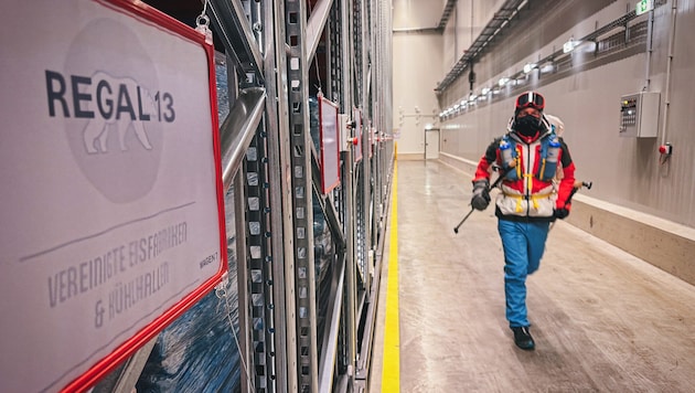 Unzählige Runden läuft Wolfi wöchentlich in den frostigen Hallen der Wiener Eisfabriken – bis zu ...
