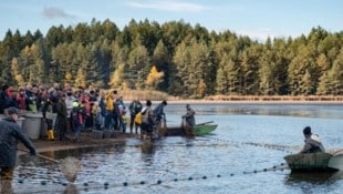 „Der Teich kocht“ so der Volksmund.