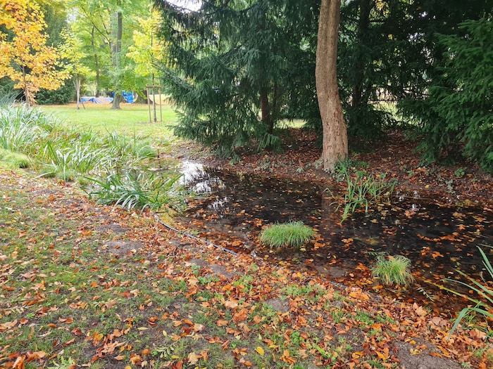 Der Bachlauf darf sich zum Teil seinen Weg selber bahnen.