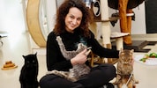 Rund 50 Tiere halten „Katzenmama“ Bettina Bernadowitsch und ihr Team rund um die Uhr ganz schön ...