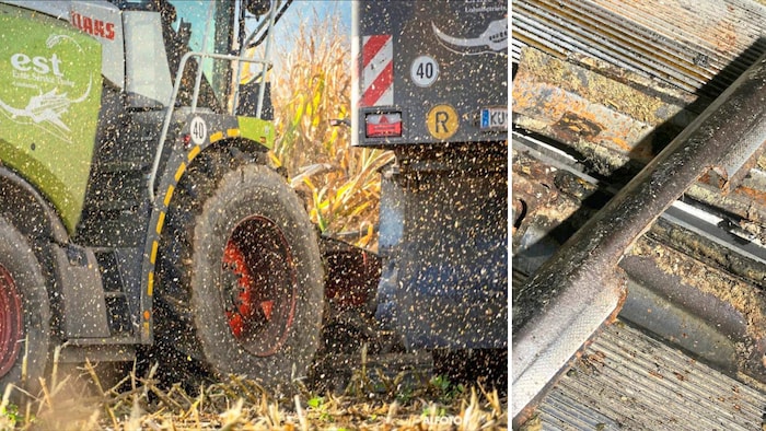 Beim neuerlichen Anschlag auf den Häcksler wurden Messer zerstört (rechts).