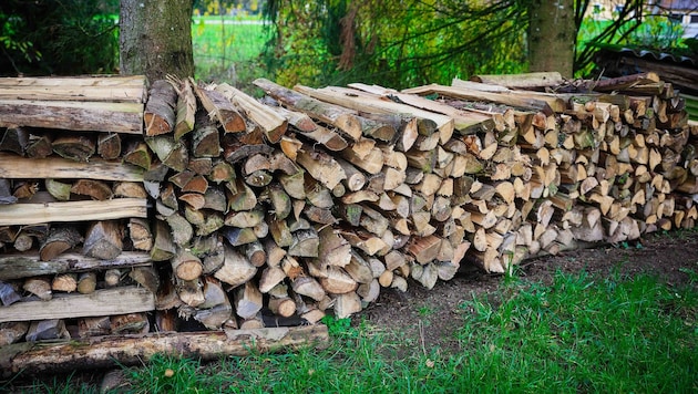Holz als harter Rohstoff: Während Sägerundholz boomt, bleibt der Brennholzmarkt stabil.
