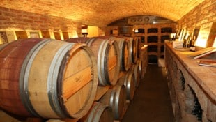In den Fässern und Tanks der Weinbauern reifen derzeit die edlen Tropfen heran. (Symbolbild)