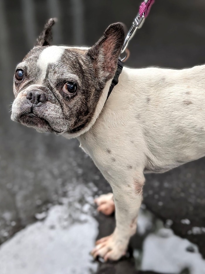 Hat denn niemand ein Herz für mich?