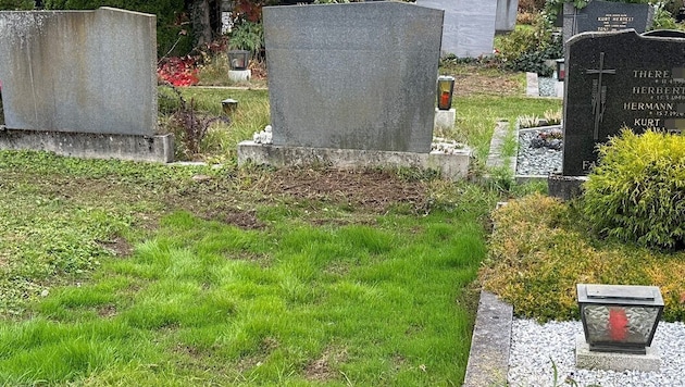 Junges Gras anstelle des Familiengrabes, das noch bis 2033 bezahlt war