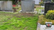Junges Gras anstelle des Familiengrabes – die „Diebe“ haben offensichtlich einen grünen Daumen.