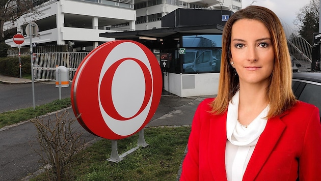 Terminated twice: Sonja Sagmeister and the ORF have been keeping the courts busy for two years ...