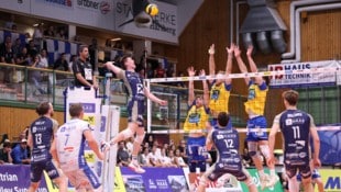 Hartbergs Volleyballer schlagen in der Champions League auf.