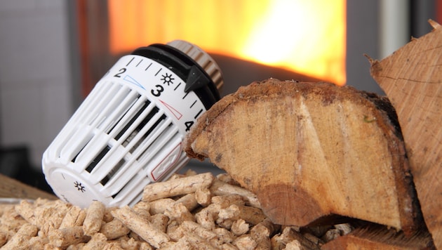 Pellets, Gas, Öl, Strom - welche Heizungsart ist am besten?