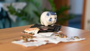 Das Sparschwein als sicherer Hort für Erspartes hat schon lange ausgesorgt.
