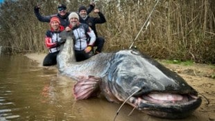 Der riesige Fisch wurde im Süden von Polen gefangen.