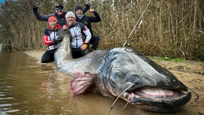 Der riesige Fisch wurde im Süden von Polen gefangen.