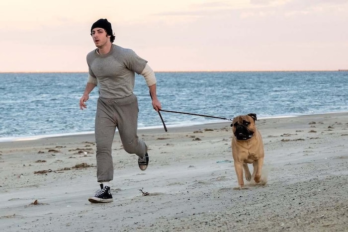 Anthony Ippolito spielt Sylvester Stallone, der mit „Rocky“ Kino-Geschichte schrieb.