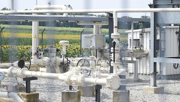 Die Gasnetzgebühren steigen stark an, Wirtschaftsminister Wolfgang Hattmannsdorfer (ÖVP) lehnt ...