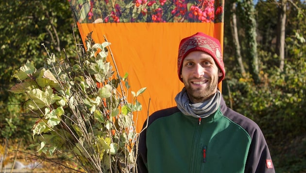 Mehr als 30 verschiedene Gehölze sind über den Heckentag erhältlich.