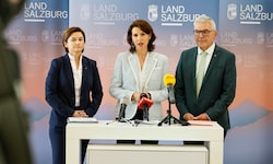 Nach Schwaigers Tod gibt es in der Edtstadler-Svazek-Regierung die nächste Umbildung.