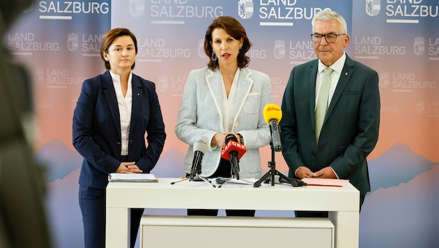 Nach Schwaigers Tod gibt es in der Edtstadler-Svazek-Regierung die nächste Umbildung.