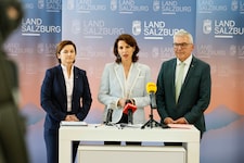 Nach Schwaigers Tod gibt es in der Edtstadler-Svazek-Regierung die nächste Umbildung.