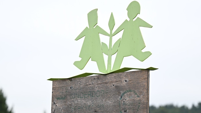 Das Vertrauen in SOS-Kinderdorf ist erschüttert – das wirkt sich auch auf Spendengelder aus.