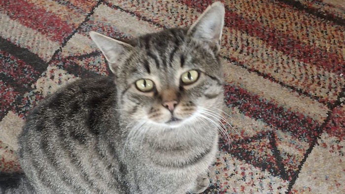 Möchte wieder zurück zu seinen Lieblingsmenschen!