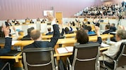 Im Vorarlberger Landtag sitzt nur ein Mandatar mit Migrationshintergrund.