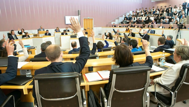 Der Vorarlberger Landtag hat sich von der Verleihung des Ehrenzeichens an Beer distanziert.