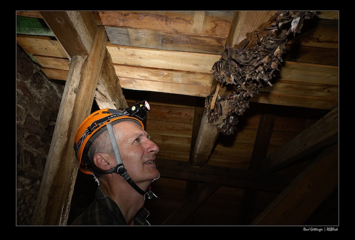 Klaus Krainer bei einer seiner Naturschutz-Leidenschaften: der Erforschung und Bewahrung von ...