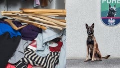 Für Diensthund „Chase“ (rechts) war das Versteck nicht gut genug.