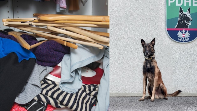 Für Diensthund „Chase“ (rechts) war das Versteck nicht gut genug.