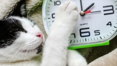 Am Sonntag wird die Uhr wieder um eine Stunde vorgestellt.