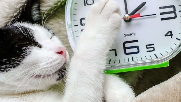 Am Sonntag wird die Uhr wieder um eine Stunde vorgestellt.