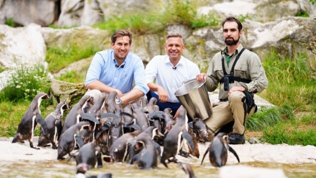 Staatssekretär Alexander Pröll (li.) und Wirtschaftsminister Wolfgang Hattmannsdorfer (Mi.) ...