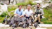 Staatssekretär Alexander Pröll (li.) und Wirtschaftsminister Wolfgang Hattmannsdorfer (Mi.) ...