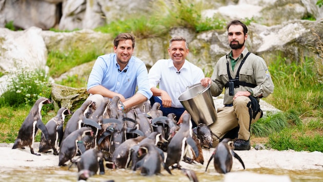 Staatssekretär Alexander Pröll (li.) und Wirtschaftsminister Wolfgang Hattmannsdorfer (Mi.) ...
