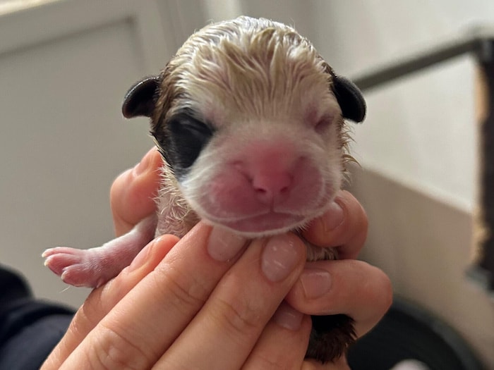 Was hat dieser Kleine vom Leid der Mutter mitbekommen?