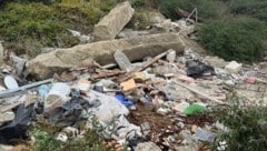 Das vermüllte Grundstück im 22. Bezirk ist weiterhin frei zugänglich.