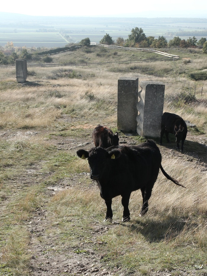 Die Tiere fühlen sich zwischen den Skulpturen sichtlich wohl.