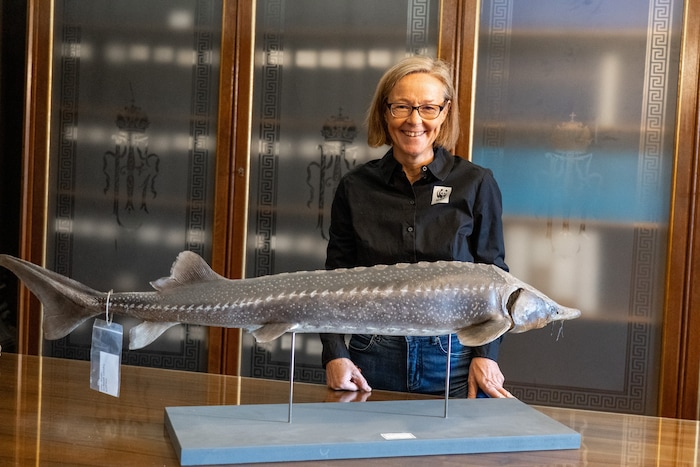 Bisher nur im naturhistorischem Museum zu bewundern, jetzt auch in freier Natur. Zur Freude von ...