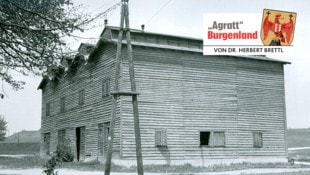 Krone KREATIV/Landwirtschaftskammer Burgenland Tabakscheune in Pöttsching 1956. In den Trockenschuppen wurde der von den Landwirten ...