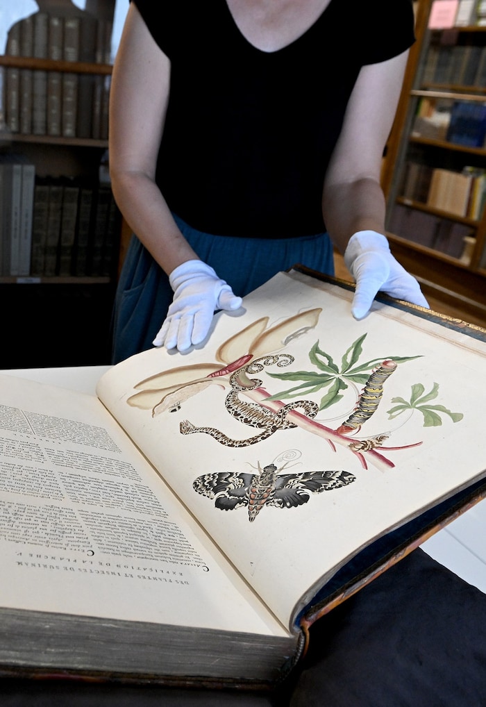 Frühwissenschaftliche Werke sind oftmals mit prächtigen Illustrationen versehen.