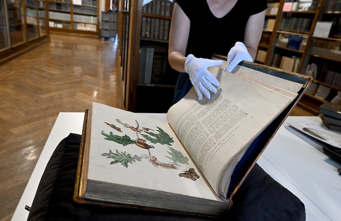 In der Zoologischen Hauptbibliothek