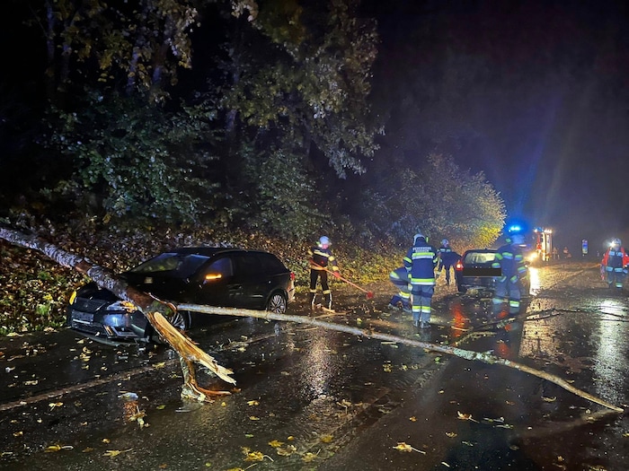 Baum auf Auto: In Ossiach musste die Feuerwehr ausrücken.