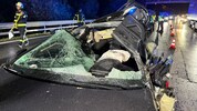 Der Lenker starb, dessen Beifahrer überlebte verletzt.
