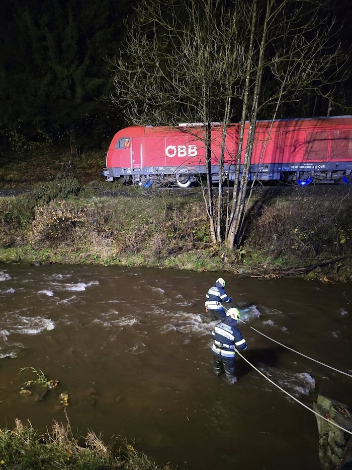 Der Baum wurde von der Feuerwehr Bad St. Leonhard von den Gleisen entfernt.