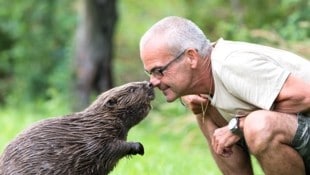 Naturfotograf Leopold Kanzler kennt Wiens Wildtiere aus nächster Nähe – und kämpft jetzt mit ...