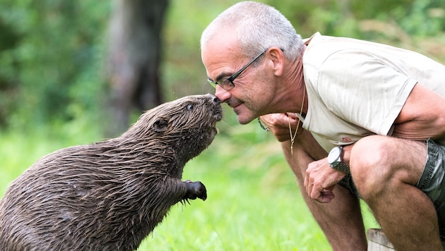 Naturfotograf Leopold Kanzler kennt Wiens Wildtiere aus nächster Nähe – und kämpft jetzt mit ...
