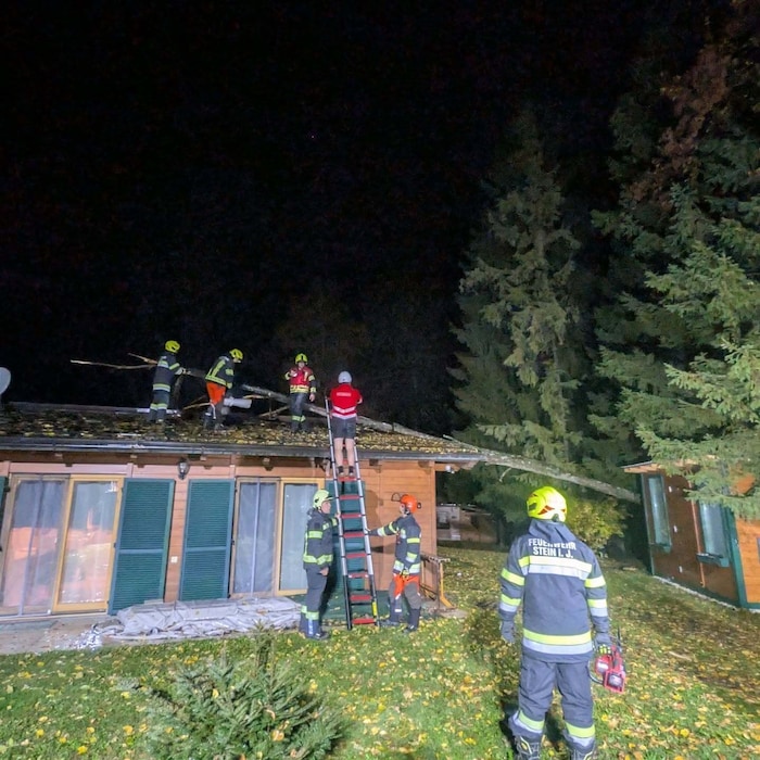 In Stein im Jauntal stürzte ein Baum auf ein Haus.