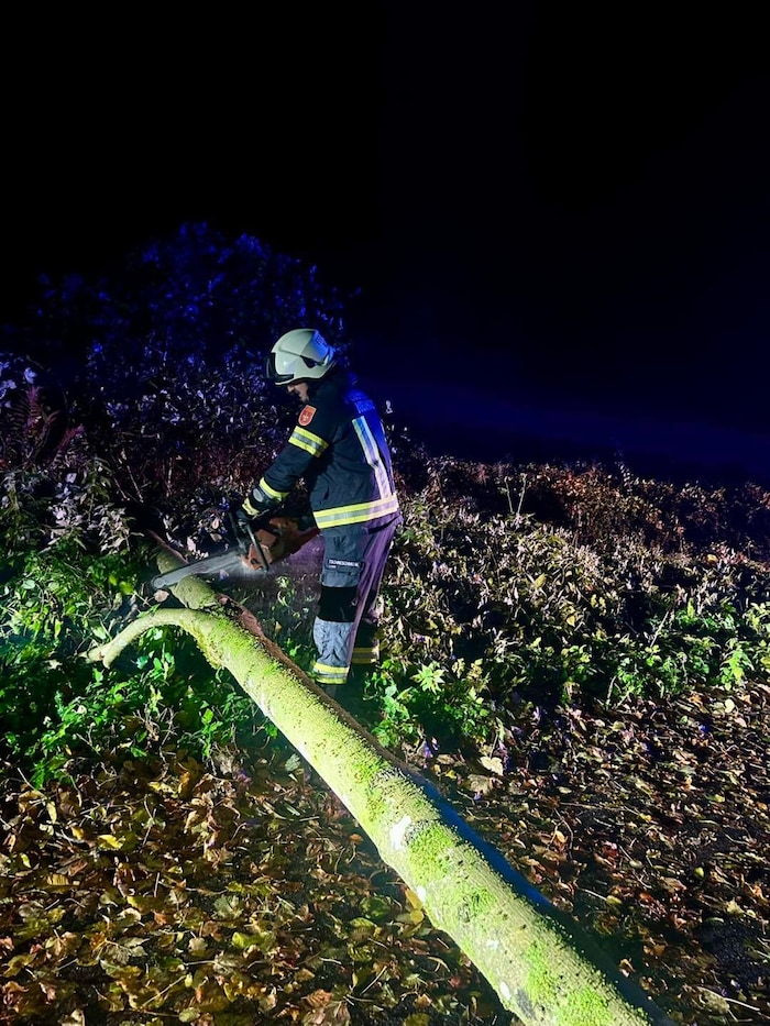 Umgefallene Bäume hielten auch die Feuerwehrt Neuhaus auf Trab.
