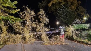 Nichts ging mehr auf der L66. 