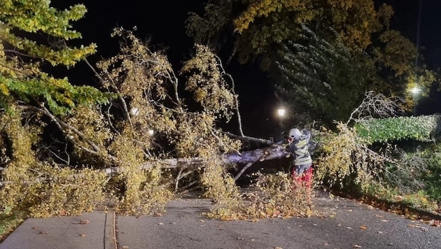 Nichts ging mehr auf der L66.